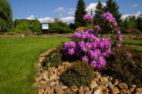 /album/zahrada-jaro-2010/bz-6-2009-010-jpg/